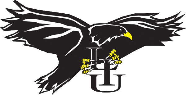 LIU-Brooklyn Blackbirds 1996-2007 Primary Logo diy DTF decal sticker